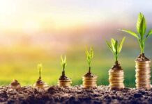 L’écologie en Guinée : Enjeux, Défis et Solutions Durables